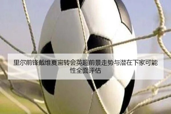 里尔前锋戴维夏窗转会英超前景走势与潜在下家可能性全面评估