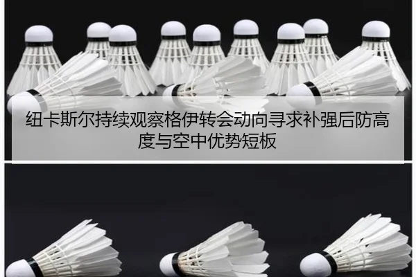 纽卡斯尔持续观察格伊转会动向寻求补强后防高度与空中优势短板